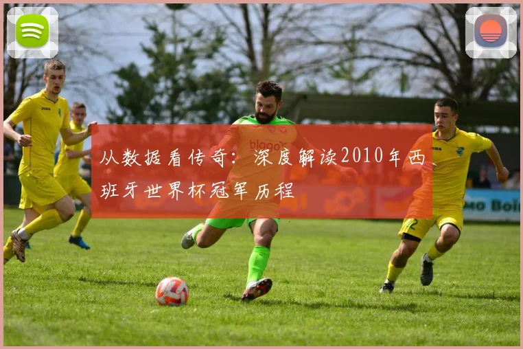 从数据看传奇：深度解读2010年西班牙世界杯冠军历程